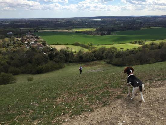 Photo of Others in Fairseat