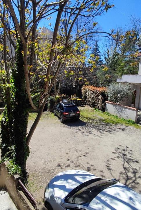 Photo of Others in Montbrison