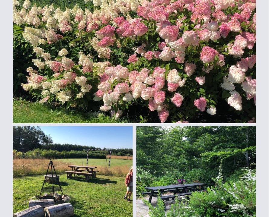 Photo of Outdoor in Sig