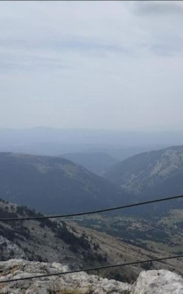 Photo of Others in Caille