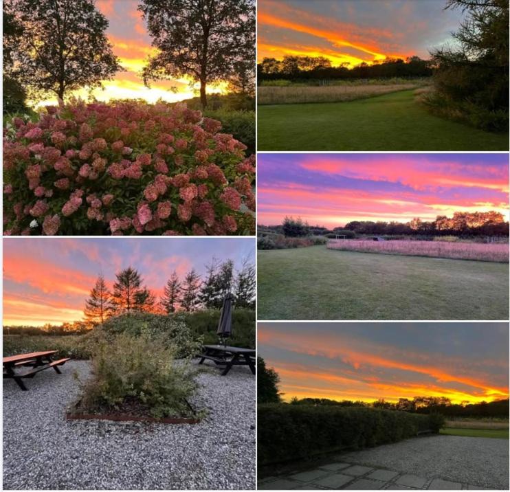 Photo of Others in Sig