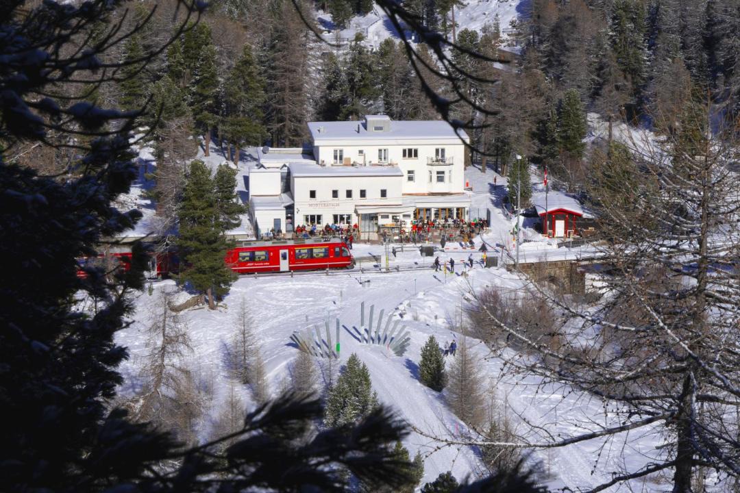 Photo of Others in Pontresina
