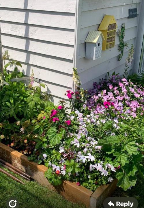 Photo of Others in Leysdown-on-Sea