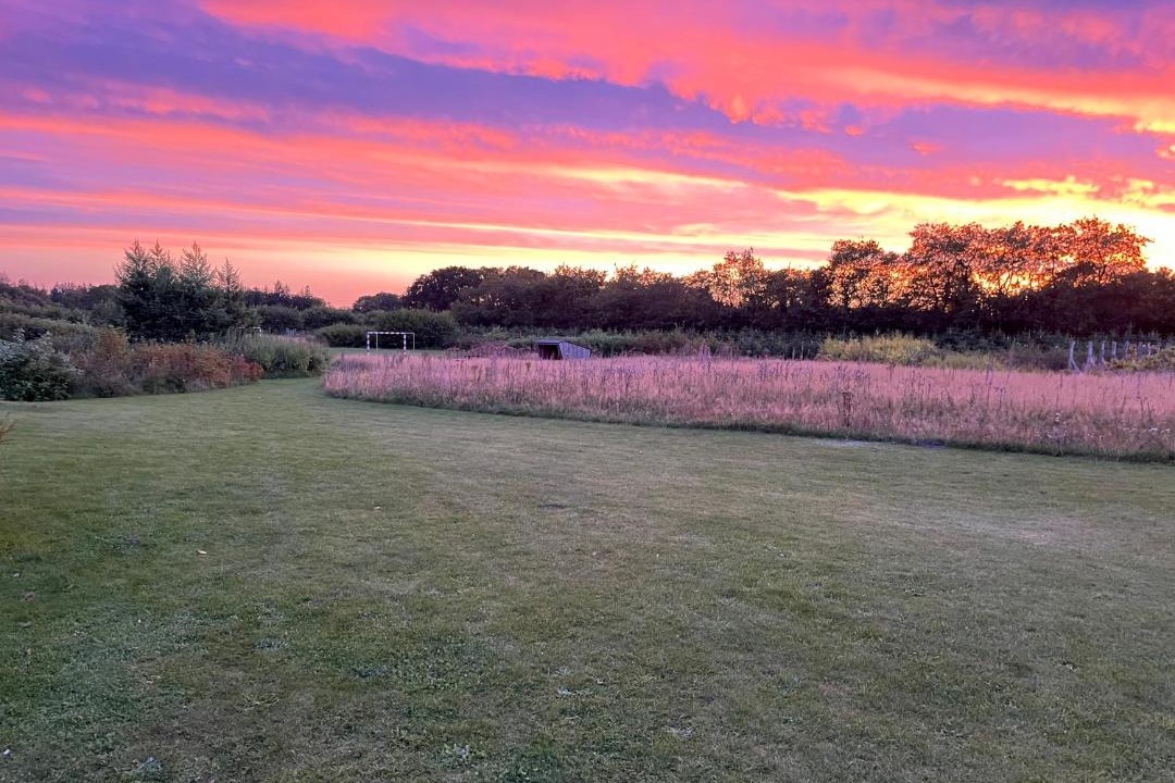 Photo of Others in Sig