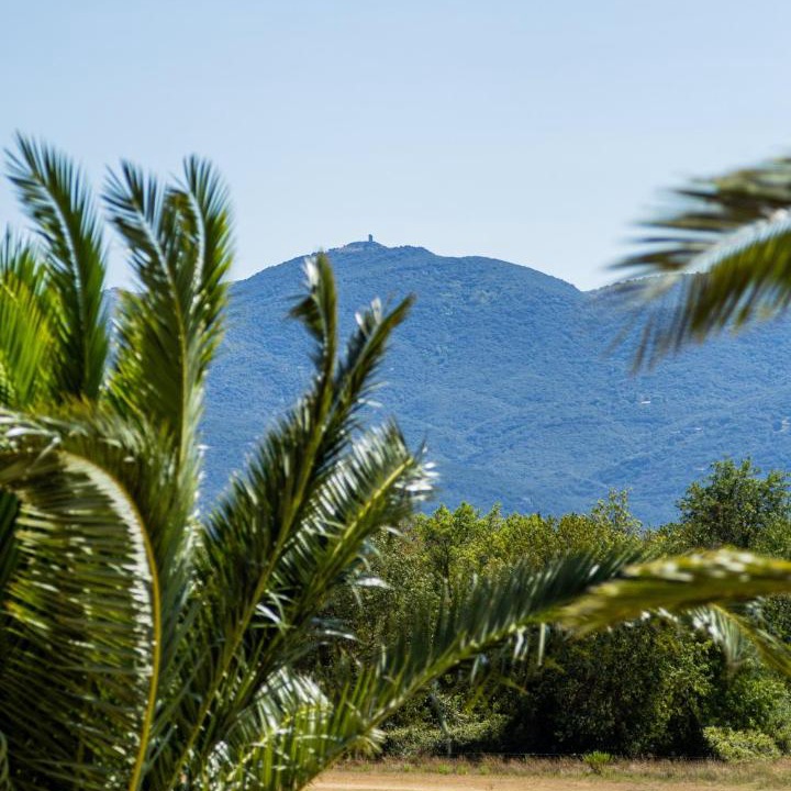 Photo of Others in Argeles-sur-Mer