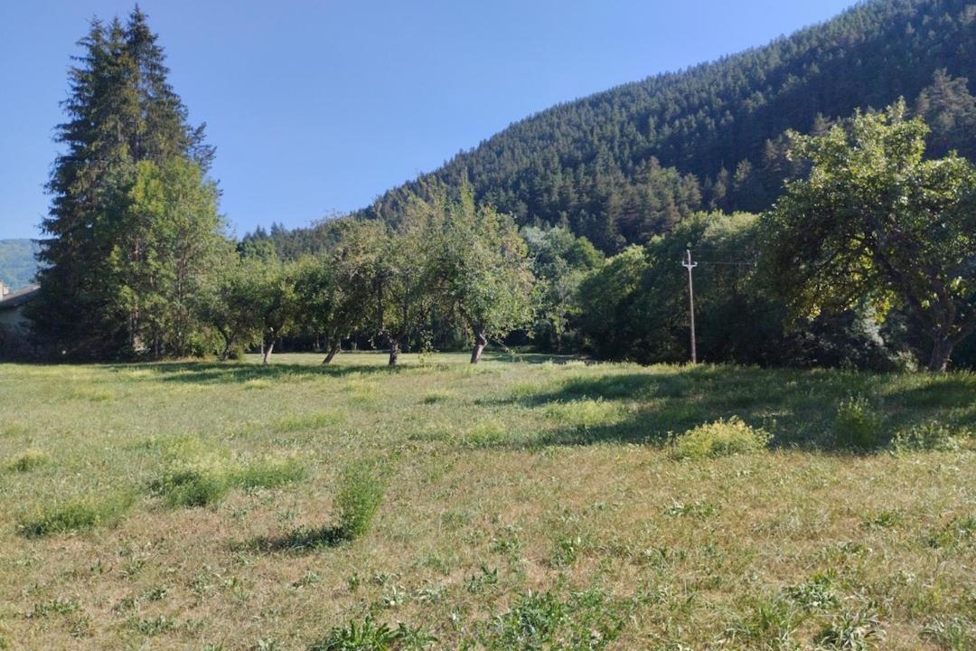 Photo of Others in Meyrueis
