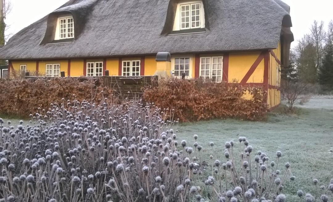 Photo of Buildings in Hov