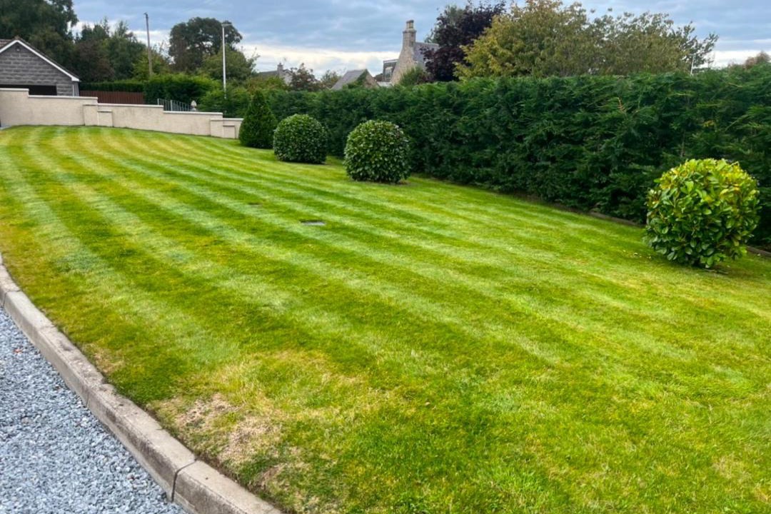 Photo of Outdoor in Fochabers