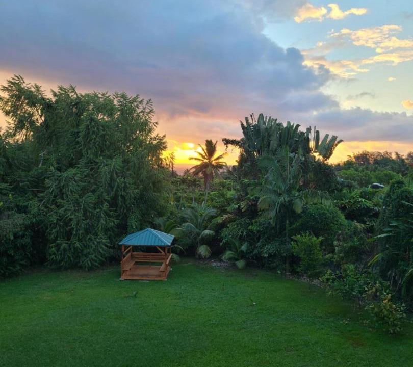 Photo of Others in Honomu