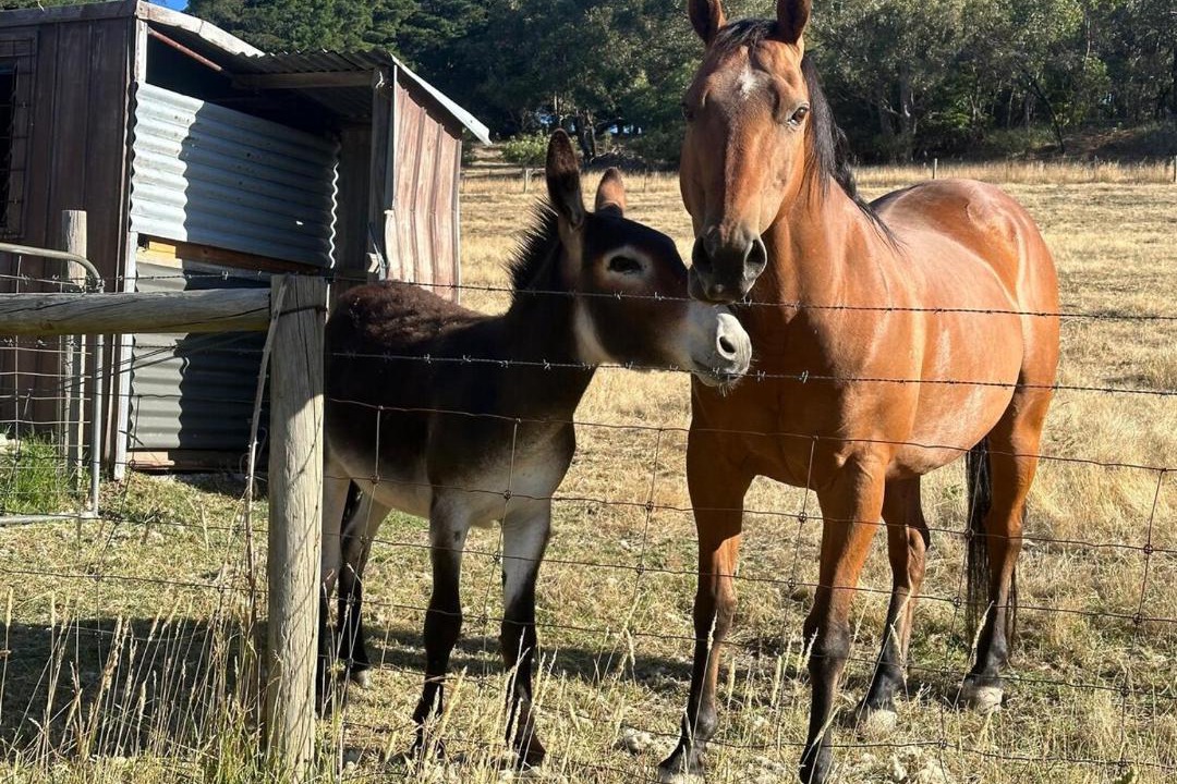 Photo of Others in Norton Summit