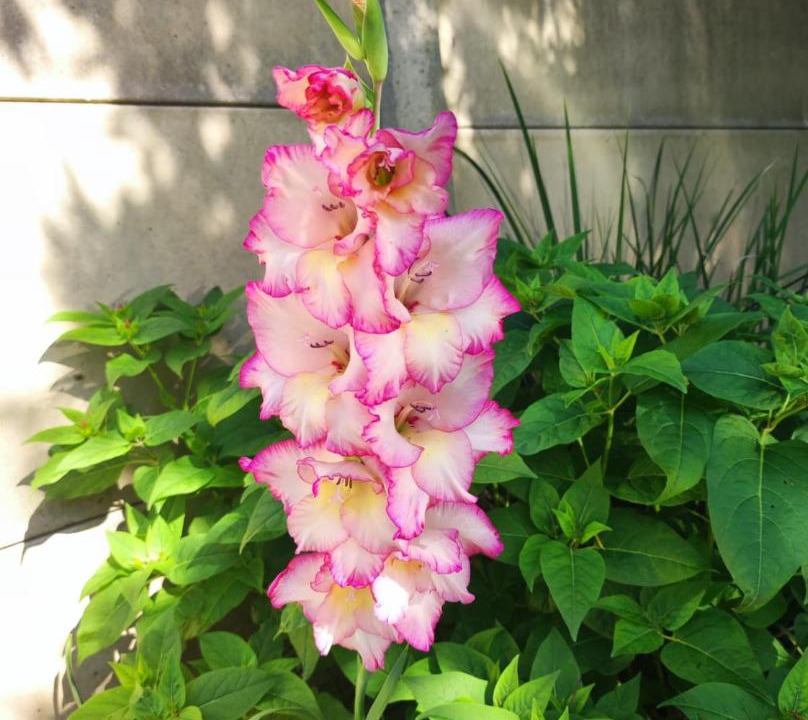 Photo of Others in Donges