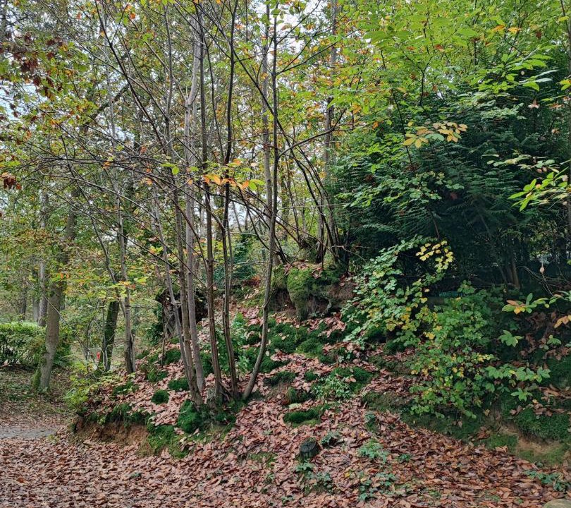 Photo of Others in Saint-Cheron