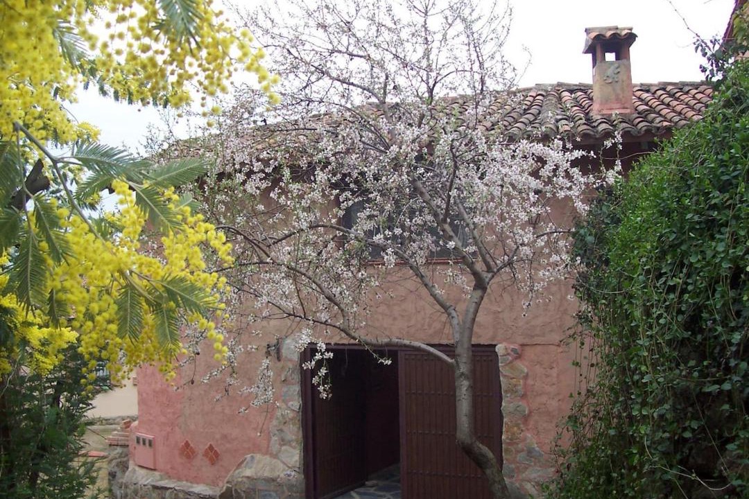 Photo of Others in Poyales del Hoyo