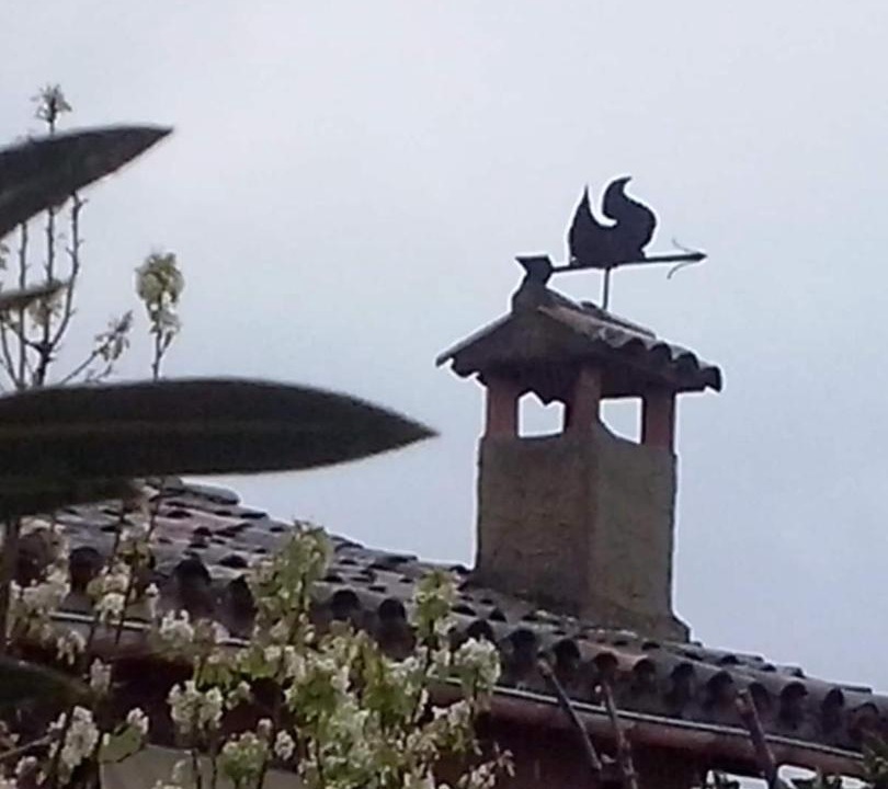 Photo of Others in Poyales del Hoyo