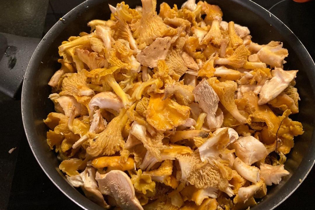 Photo of Kitchen in Monceaux-sur-Dordogne