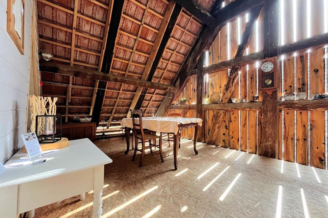 Photo of Others in Winkel