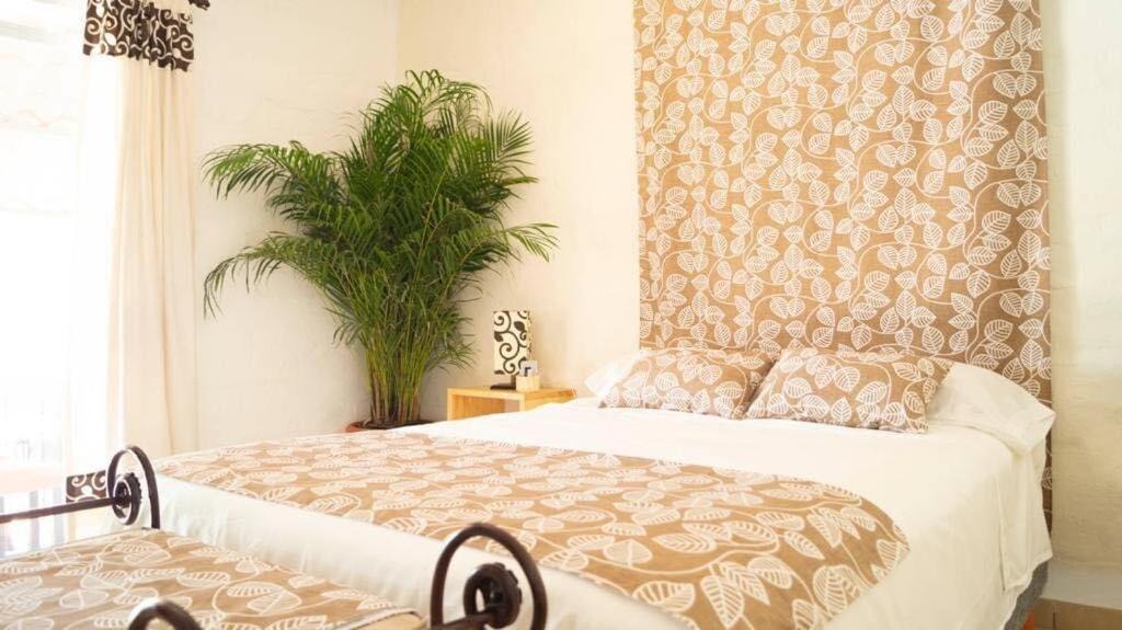 Photo of Bedroom in Temixco