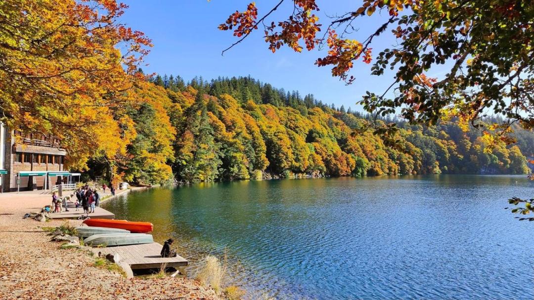 Photo of Others in Veyre-Monton