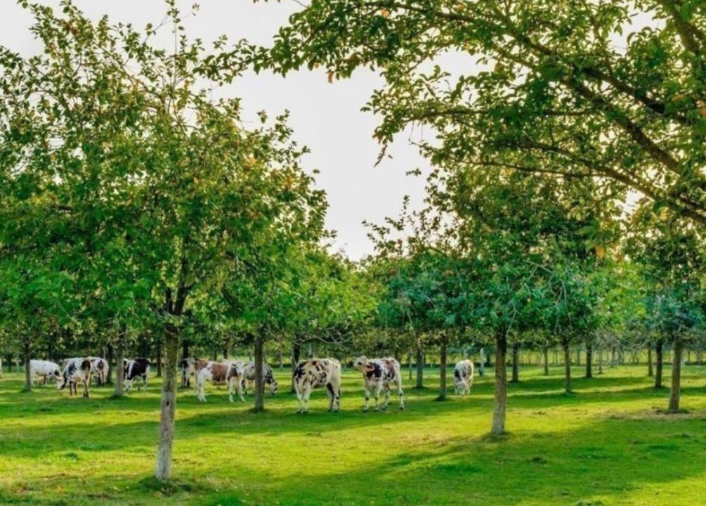 Photo of Others in Equemauville