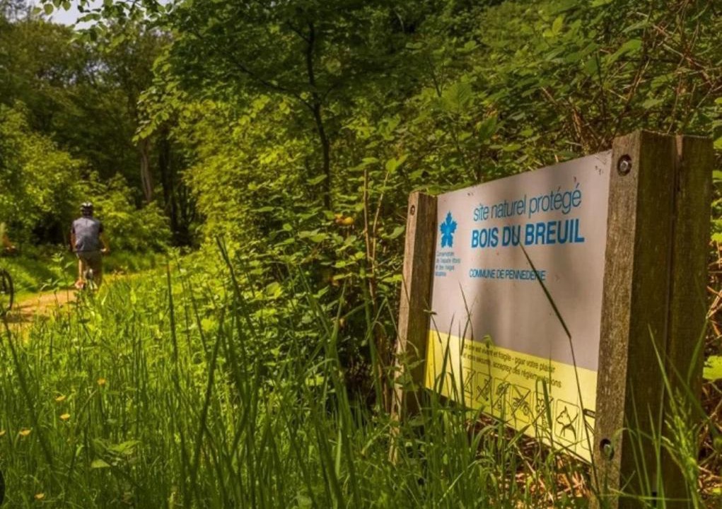 Photo of Others in Equemauville