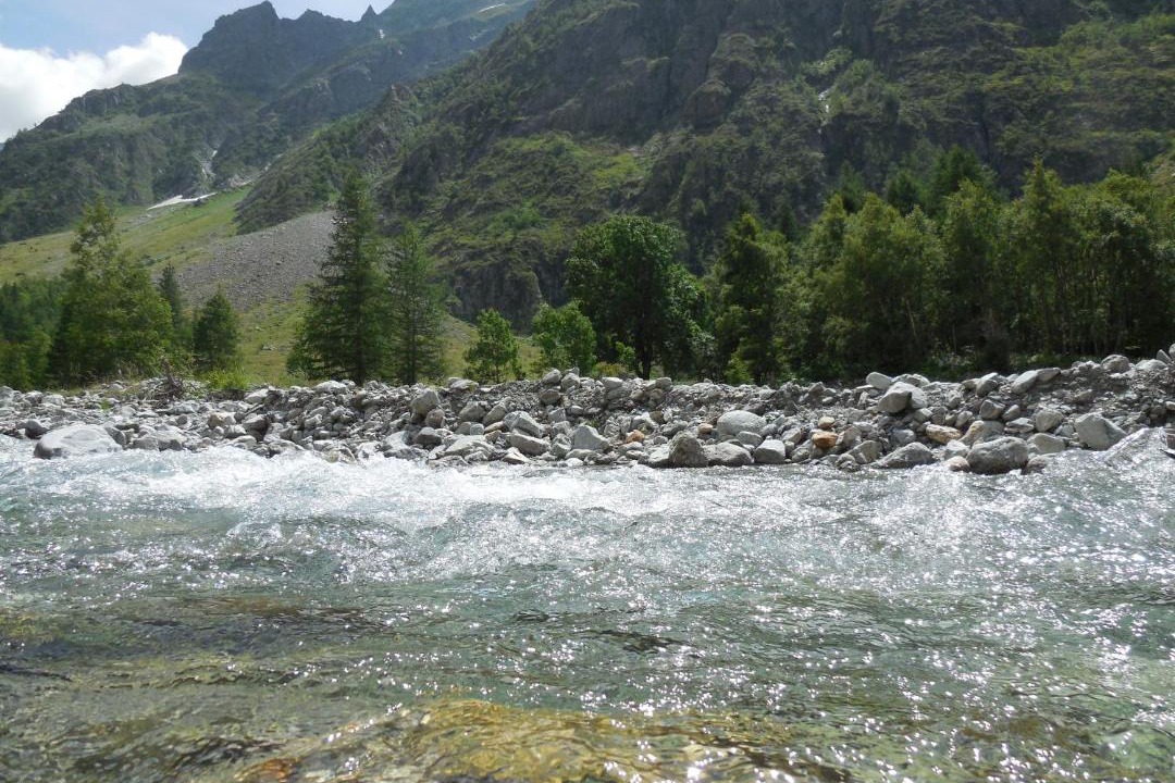 Photo of Others in La Batie-Vieille