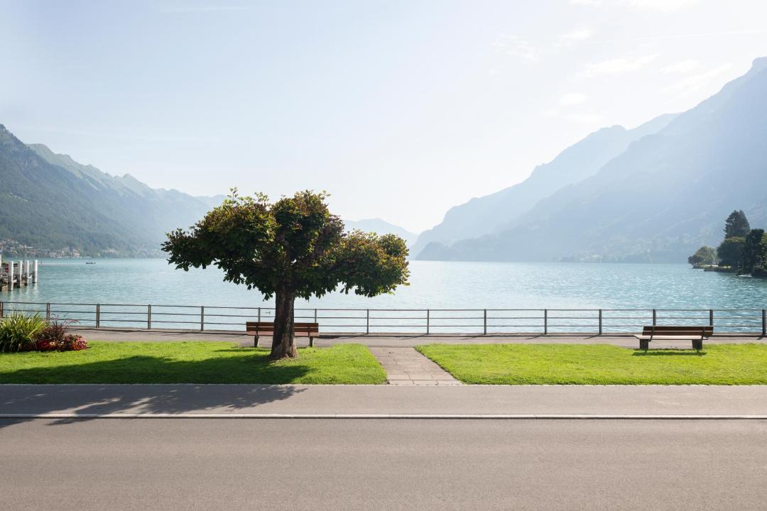 Photo of Others in Boenigen