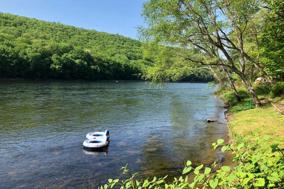 Photo of Others in Pond Eddy