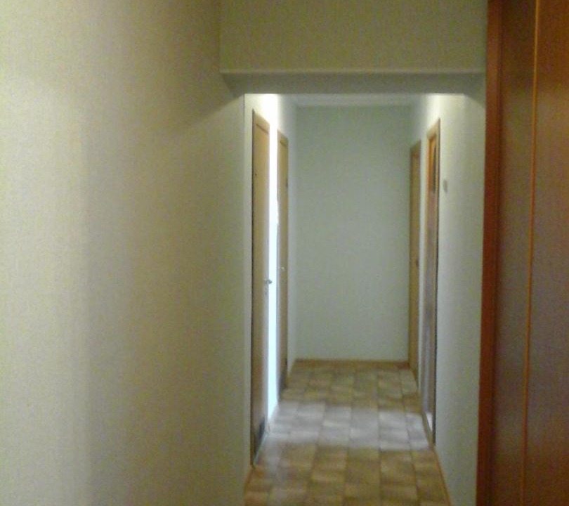 Photo of Others in Petrodvortsovy District