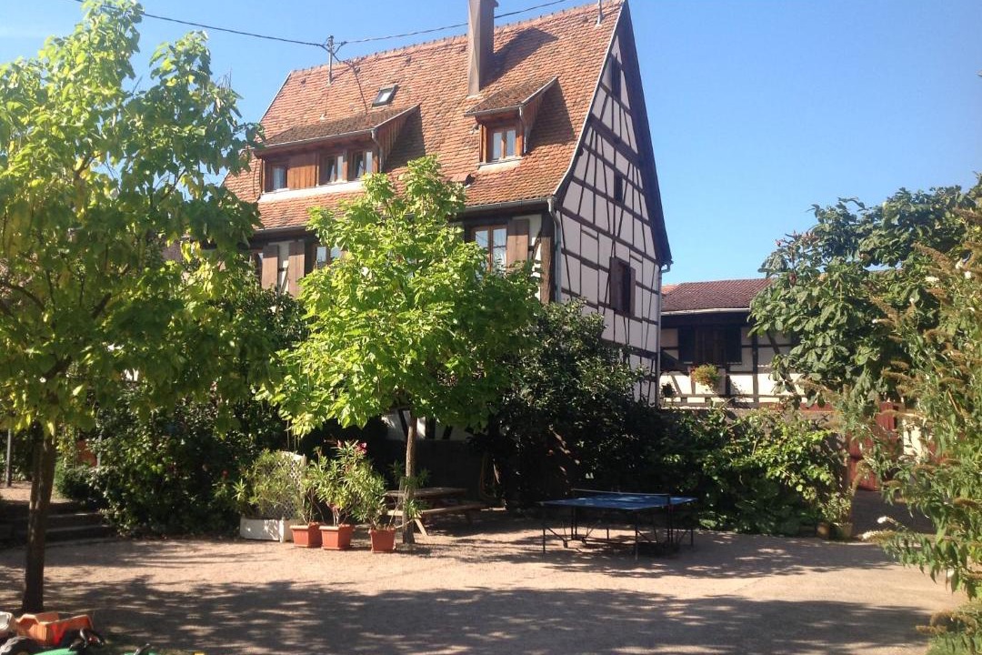 Photo of Others in Dambach-la-Ville