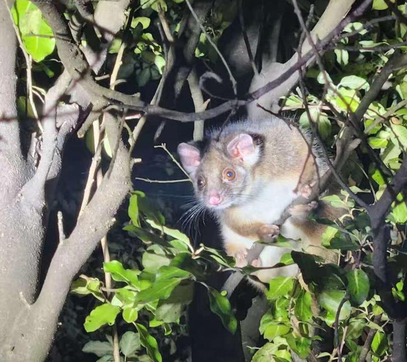 Photo of Others in Kilsyth