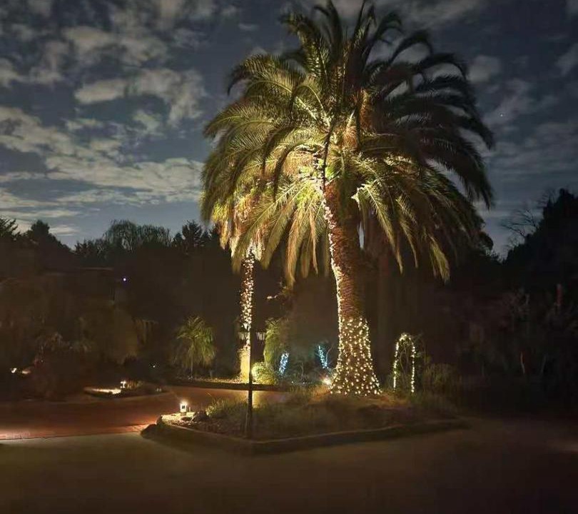 Photo of Others in Kilsyth