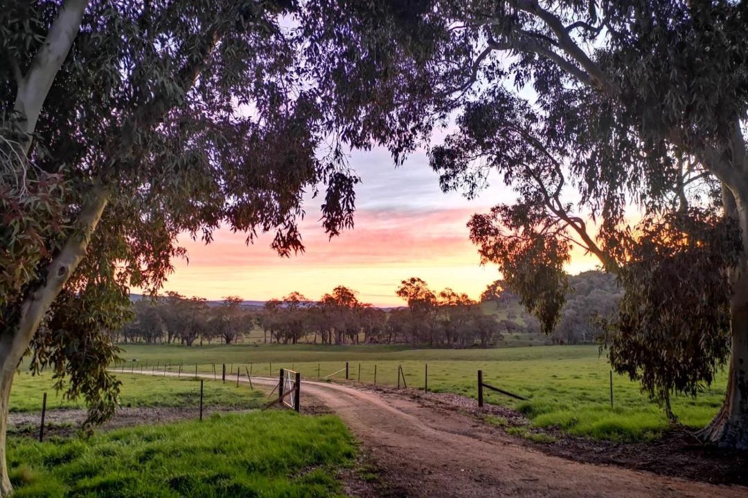 Photo of Others in Wooragee