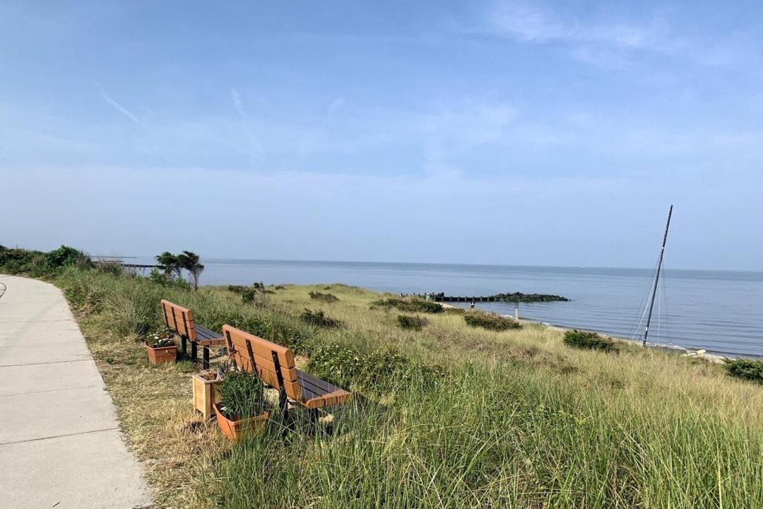Photo of Others in North Cape May