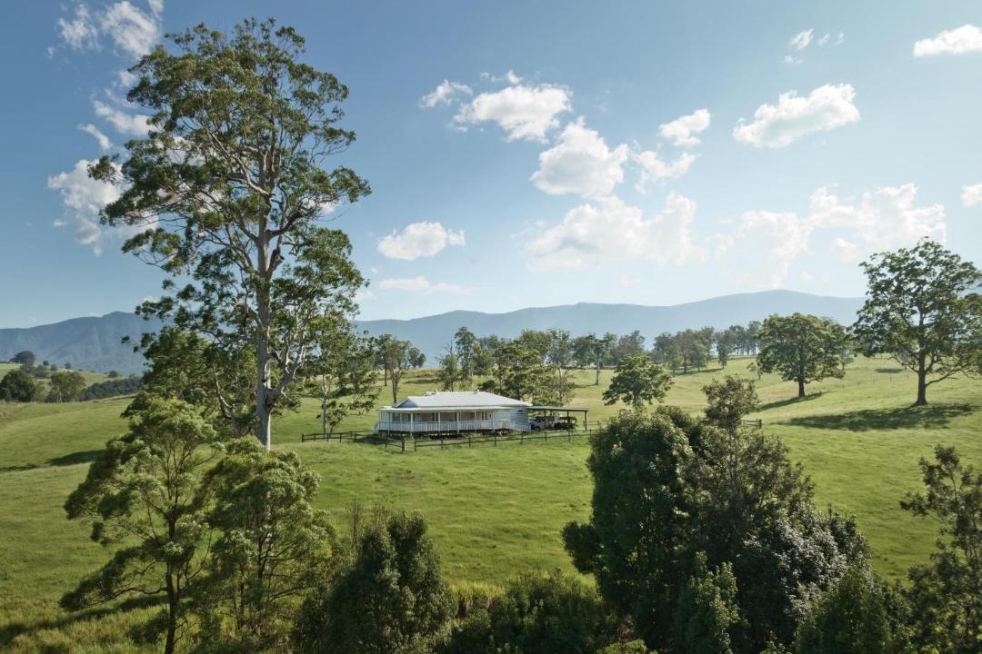 Photo of Others in Tyalgum Creek