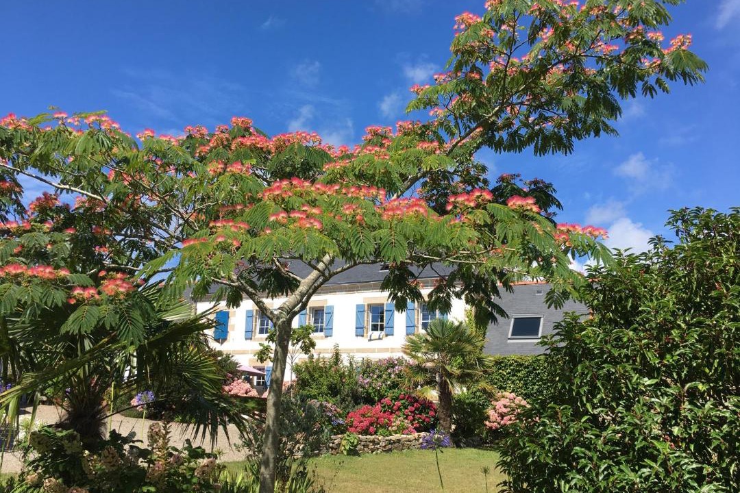 Photo of Others in Audierne