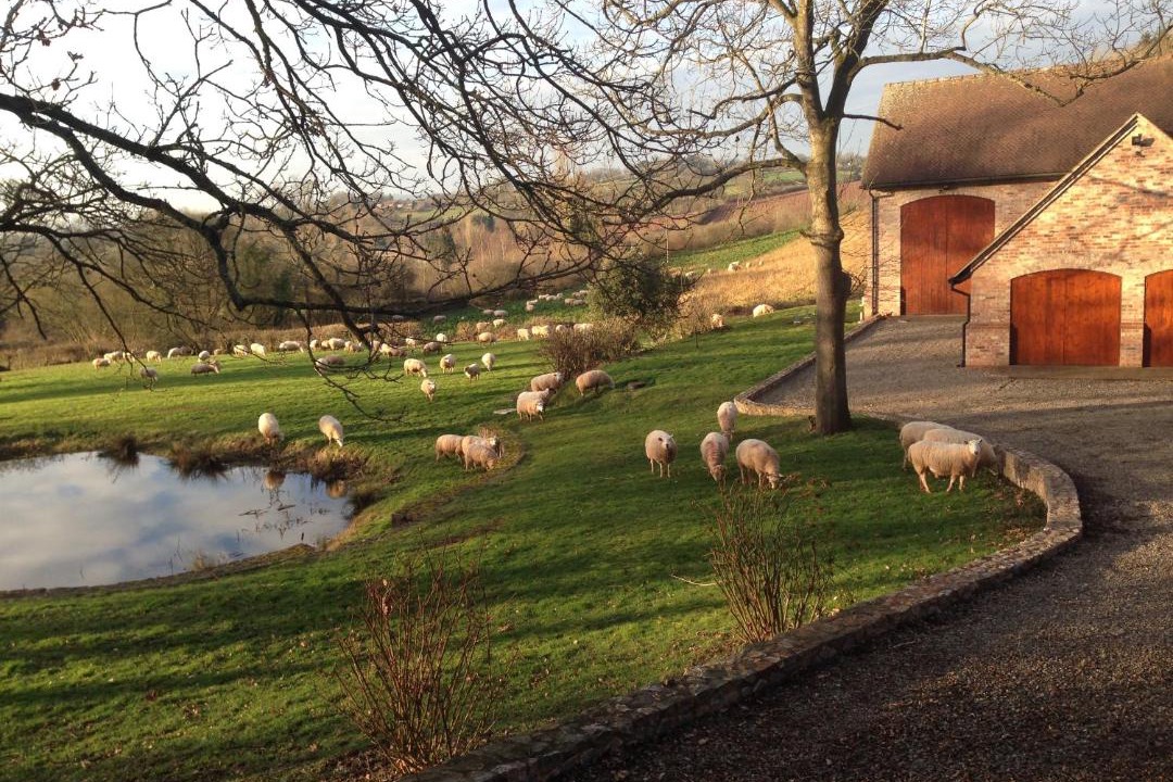 Photo of Others in Hay-on-Wye