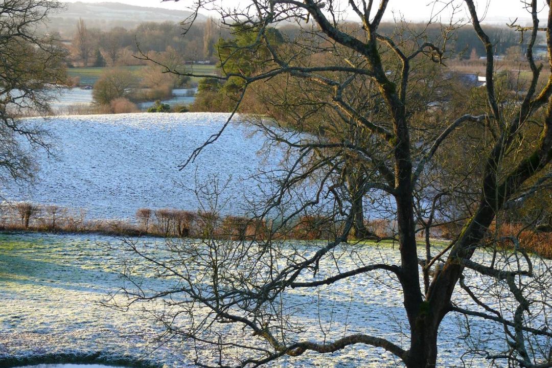 Photo of Others in Hay-on-Wye