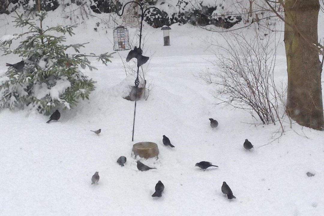Photo of Others in Hay-on-Wye
