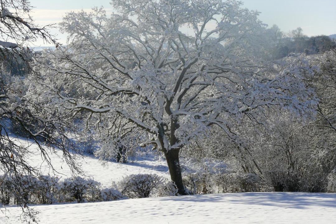 Photo of Others in Hay-on-Wye