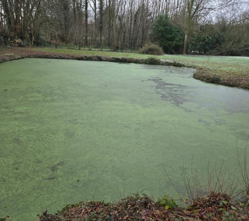 Photo of Others in Moulicent