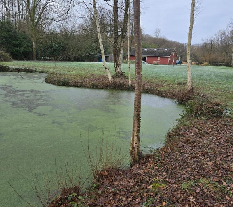 Photo of Others in Moulicent