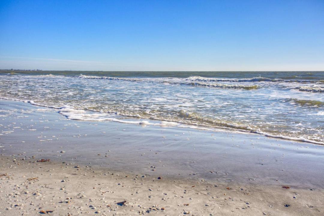Photo of Others in St. Pete Beach