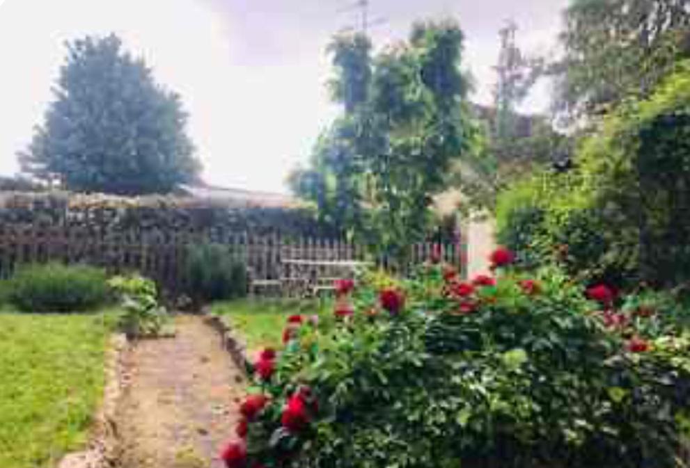 Photo of Others in Provins
