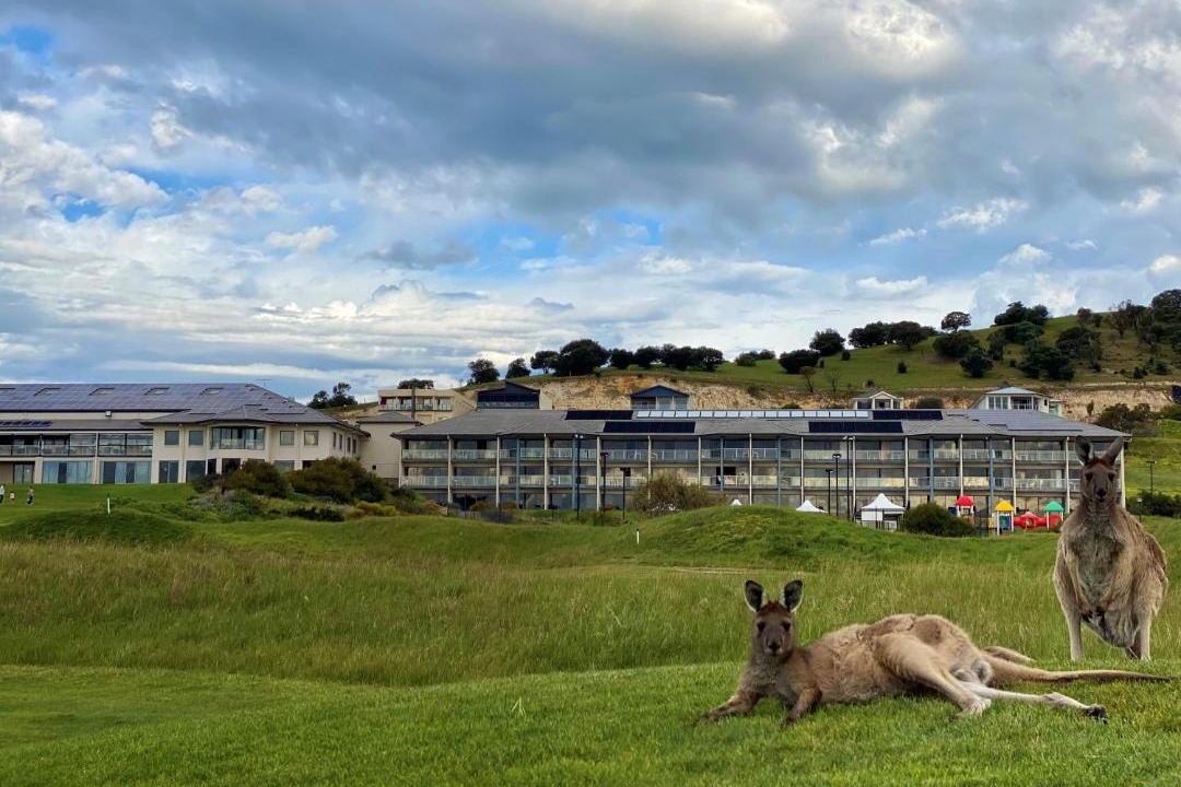 Photo of Others in Normanville
