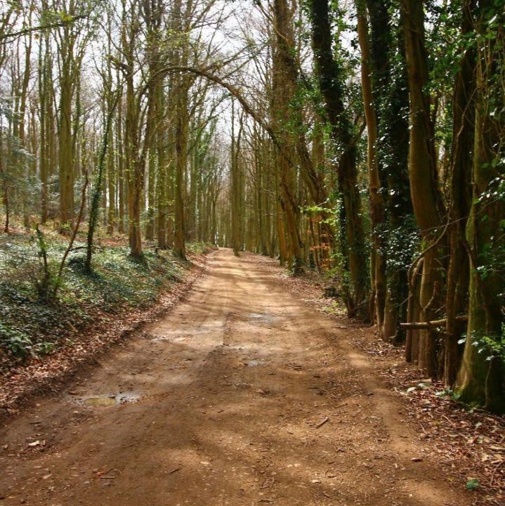 Photo of Others in Stonehouse