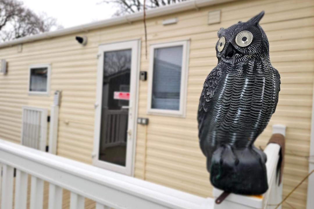 Photo of Others in Sandown