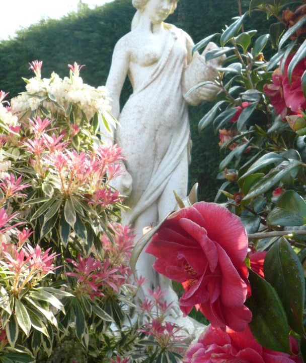 Photo of Others in Le Tilleul