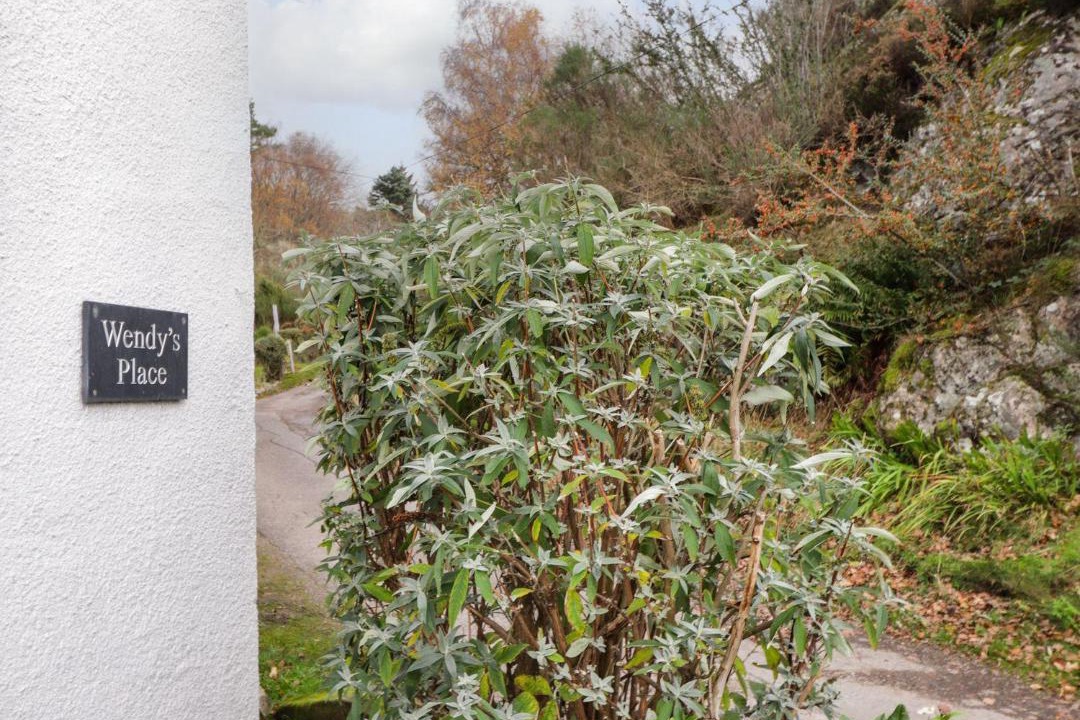 Photo of Others in Foyers