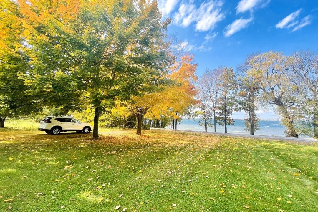 Photo of Others in Cressy