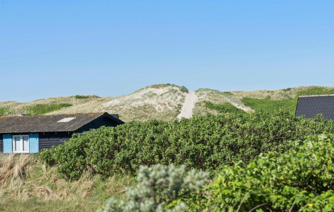 Photo of Others in Hvide Sande